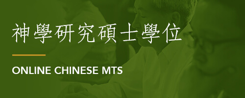 Online Chinese MTS image