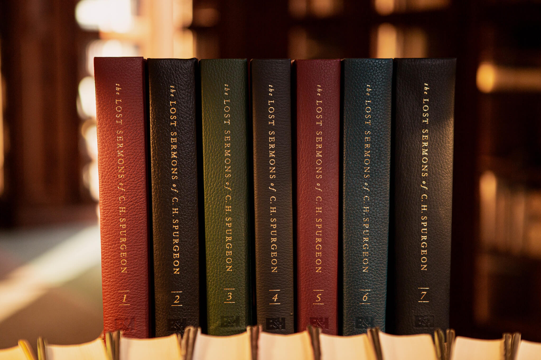Books standing beside each other